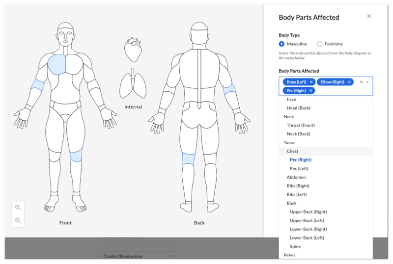 diagram-body parts.jpg